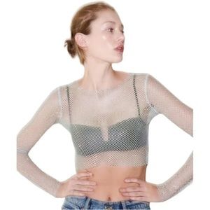 Zara Shimmer Mesh Crop Top